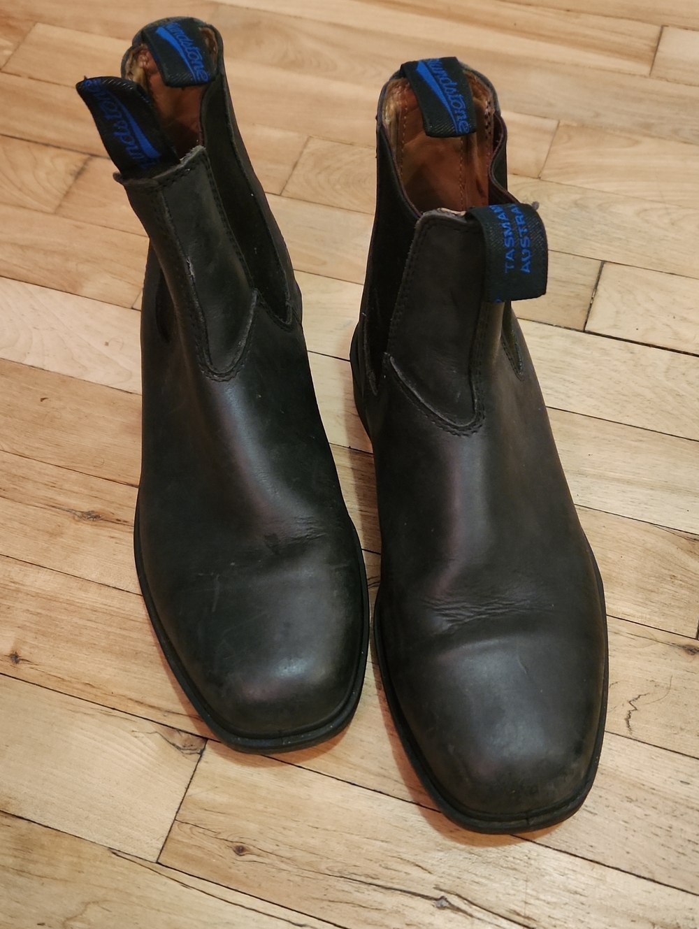 Blundstone Men's Black Leather Chukka Boots